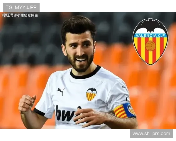 加亚球队贡献 加亚球队贡献